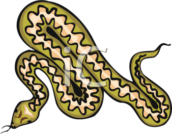 Snake Clipart