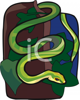 Snake Clipart