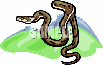 Snake Clipart