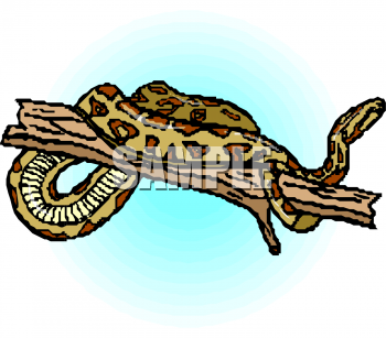 Snake Clipart