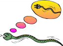 Snake Clipart