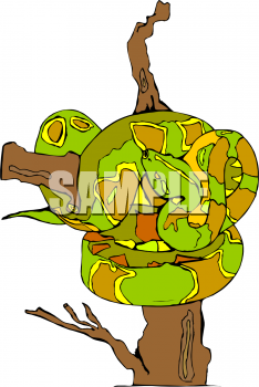 Snake Clipart