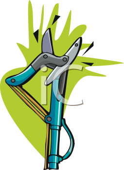 Shears Clipart