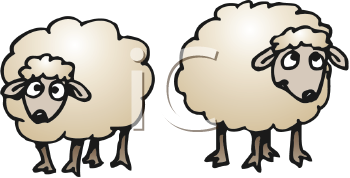 Lamb Clipart