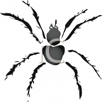 Spider Clipart