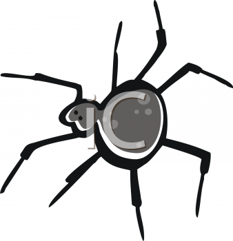 Spider Clipart