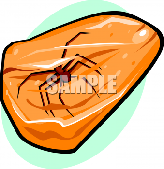 Spider Clipart