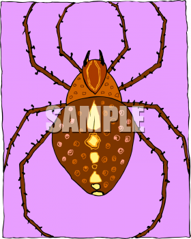 Spider Clipart