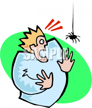 Spider Clipart