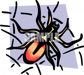 Spider Clipart