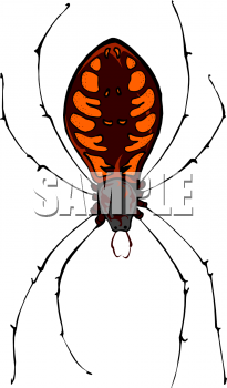 Spider Clipart