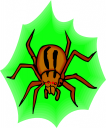 Spider Clipart