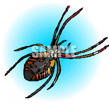 Spider Clipart