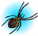 Spider Clipart