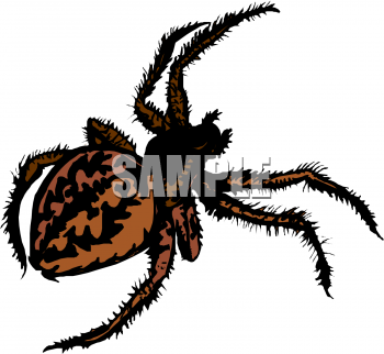 Spider Clipart