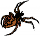 Spider Clipart