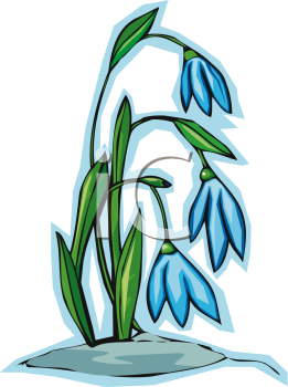 Crocus Clipart