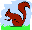 Squirrel Clipart