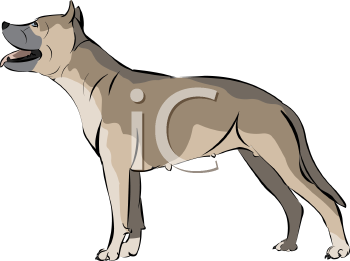 Dog Clipart