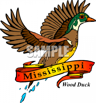 Duck Clipart