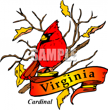 Cardinal Clipart