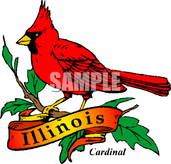 Cardinal Clipart