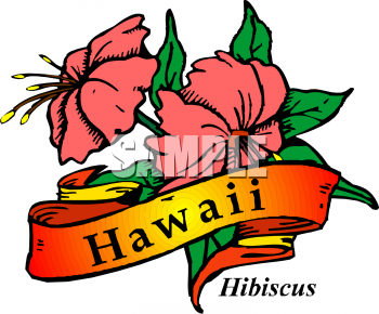 Hibiscus Clipart