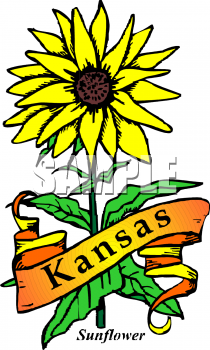 Sunflower Clipart