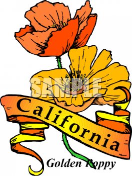 Poppy Clipart