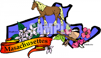 Horse Clipart