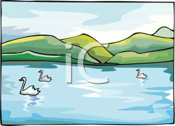 Swan Clipart