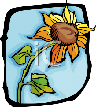 Sunflower Clipart