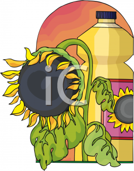 Sunflower Clipart