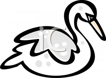 Swan Clipart