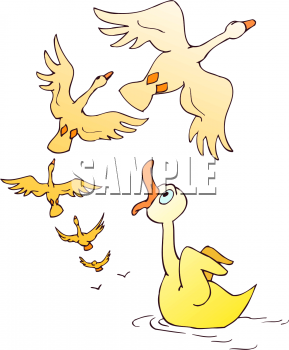 Swan Clipart