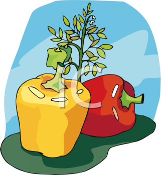 Pepper Clipart