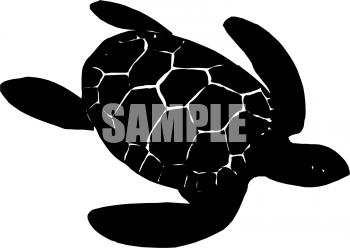 Tortoise Clipart