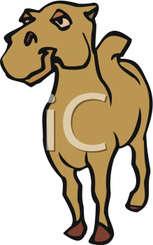 Royalty Free Camel Clipart