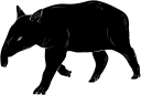 Mammal Clipart