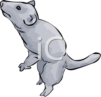 Mammal Clipart