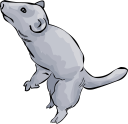 Mammal Clipart