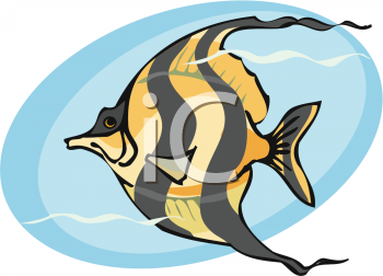 Fish Clipart