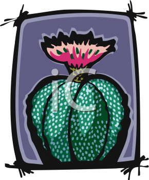 Cactus Clipart