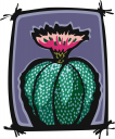 Cactus Clipart