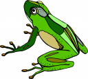 Frog Clipart