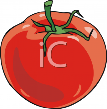 Tomato Clipart