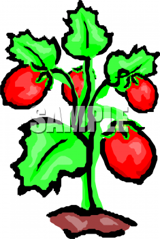 Produce Clipart