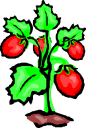 Produce Clipart