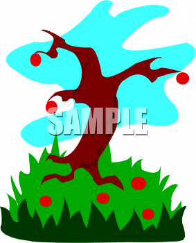 Apple Clipart