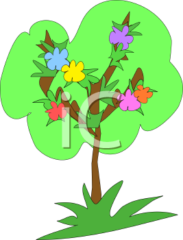 Grass Clipart